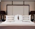 Chopin contemporary wood framed headboard