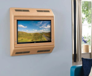 Wall-mounted, secure, anti-ligature TV cabinets