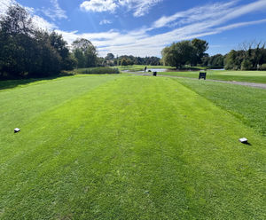 DLF grass seed solutions improve surfaces at Bristol Golf Club