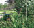 Trees / shrubs, Breme Park housing development 0