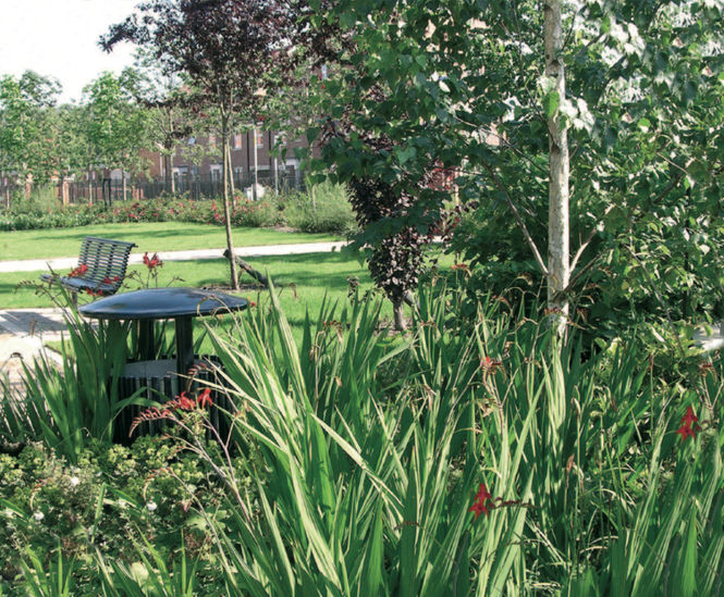 Trees / shrubs, Breme Park housing development