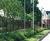 Trees / shrubs, Breme Park housing development 1