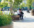 Giant Flowerpots 5