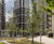 Tree anchoring system for landscaping project - Canada Gardens, London 2