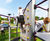 Playground refresh provides thrilling fun in Fillongley Park, Warwickshire 10
