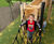 Towering multi-play system re-vitalises play at Kings Park, Stirling 2