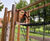 Towering multi-play system re-vitalises play at Kings Park, Stirling 3