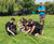 Inclusive play area revitalises village's pocket park - Boughton 9