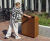 Box Bin Extra Slim - slim Corten steel outdoor recycling waste bin 0