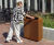 Box Bin Extra Slim - corten steel recycling bin with rain cover 1