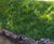 Type 75C PS - coir soil blanket for permanent erosion control and seeding 3
