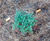 Mulchmat F3 - fire-resistant mulch mat for tree and shrub planting 1