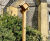 Nature-positive timber bug house sculptures for pocket park - Watford 2