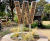 Nature-positive timber bug house sculptures for pocket park - Watford 8