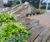 Paving, kerbs, rockery stone and footpath gravel - Ruskin Square, Croydon 12