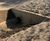 Concrete filled bagwork for use above water 1