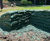 Topsoil-filled MSE bagwork 2