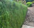 Topsoil-filled MSE bagwork 4
