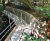 Above water concrete-filled bagwork used in riverbank scour repair 1