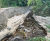 Pre-filled concrete bagwork repairs stream embankment - Dundee 5