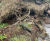 Pre-filled concrete bagwork repairs stream embankment - Dundee 6