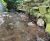 Pre-filled concrete bagwork repairs stream embankment - Dundee 8