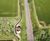 Hydrotrench® - sustainable drainage system for cycle paths and pathways 0