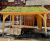 Timber canopy with green roof for NHS wellbeing garden - St James Hospital 4