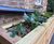 AquaPlanter® - rainwater planter for SuDS 2