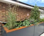 AquaPlanter® - rainwater planter for SuDS