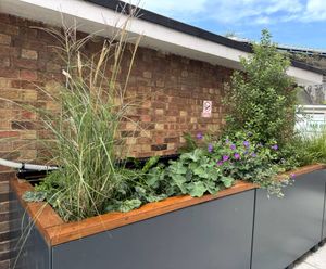 AquaPlanter® - rainwater planter for SuDS