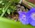 AquaPlanter® - rainwater planter for SuDS 9