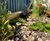 AquaPlanter® - rainwater planter for SuDS 11