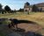 Bosworth 1485 Sculpture Trail - Chapter 1 - The Calm Before the Storm 9