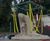 Bosworth 1485 Sculpture Trail - Chapter 1 - The Calm Before the Storm 8