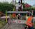 Bosworth 1485 Sculpture Trail - Chapter 4 - The Healing 4
