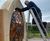 Bosworth 1485 Sculpture Trail - Chapter 5 - Piecing Together the Past 7