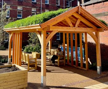 Timber canopy with green roof for NHS wellbeing garden - St James Hospital