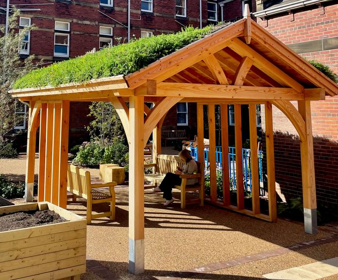 Timber canopy with green roof for NHS wellbeing garden - St James Hospital