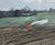 Flexible, bespoke hydroseeding services 0