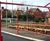 AUTOPA single swing height restrictor with swing gate 1