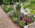 ProEdge corten steel lawn edging creates definition in countryside garden 2