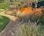 ProEdge corten steel lawn edging creates definition in countryside garden 3