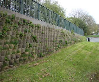 Betoatlas - concrete living green wall for structures up to 10.6m