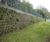 Betoatlas - concrete living green wall for structures up to 10.6m 0