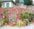 Betoatlas - concrete living green wall for structures up to 10.6m 2