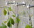 Webnet Stainless Steel Wire Trellis Kit - plant support system for gardens 0