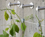 Webnet Stainless Steel Wire Trellis Kit - plant support system for gardens