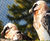 Webnet for animal enclosures - stainless steel mesh for zoo enclosures 1