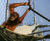 Webnet for animal enclosures - stainless steel mesh for zoo enclosures 2